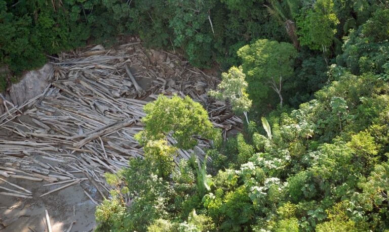 Em debate, na Casa de Jornalista, a “Barbárie Ambiental”