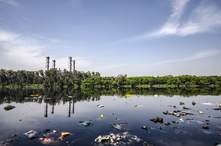 Organização de jornalismo climático recebe inscrições para prêmio